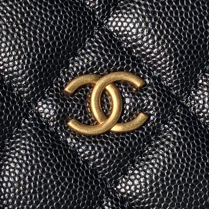 Chanel WOC Bags